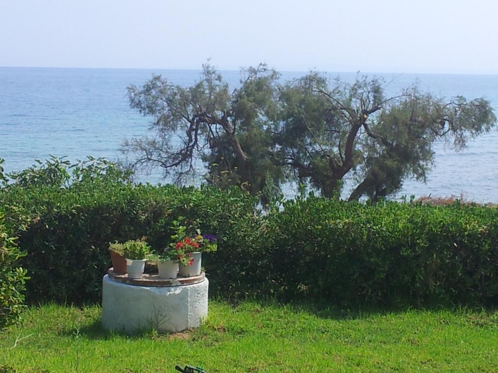 Beach Bungalows Kypseli Quarto foto